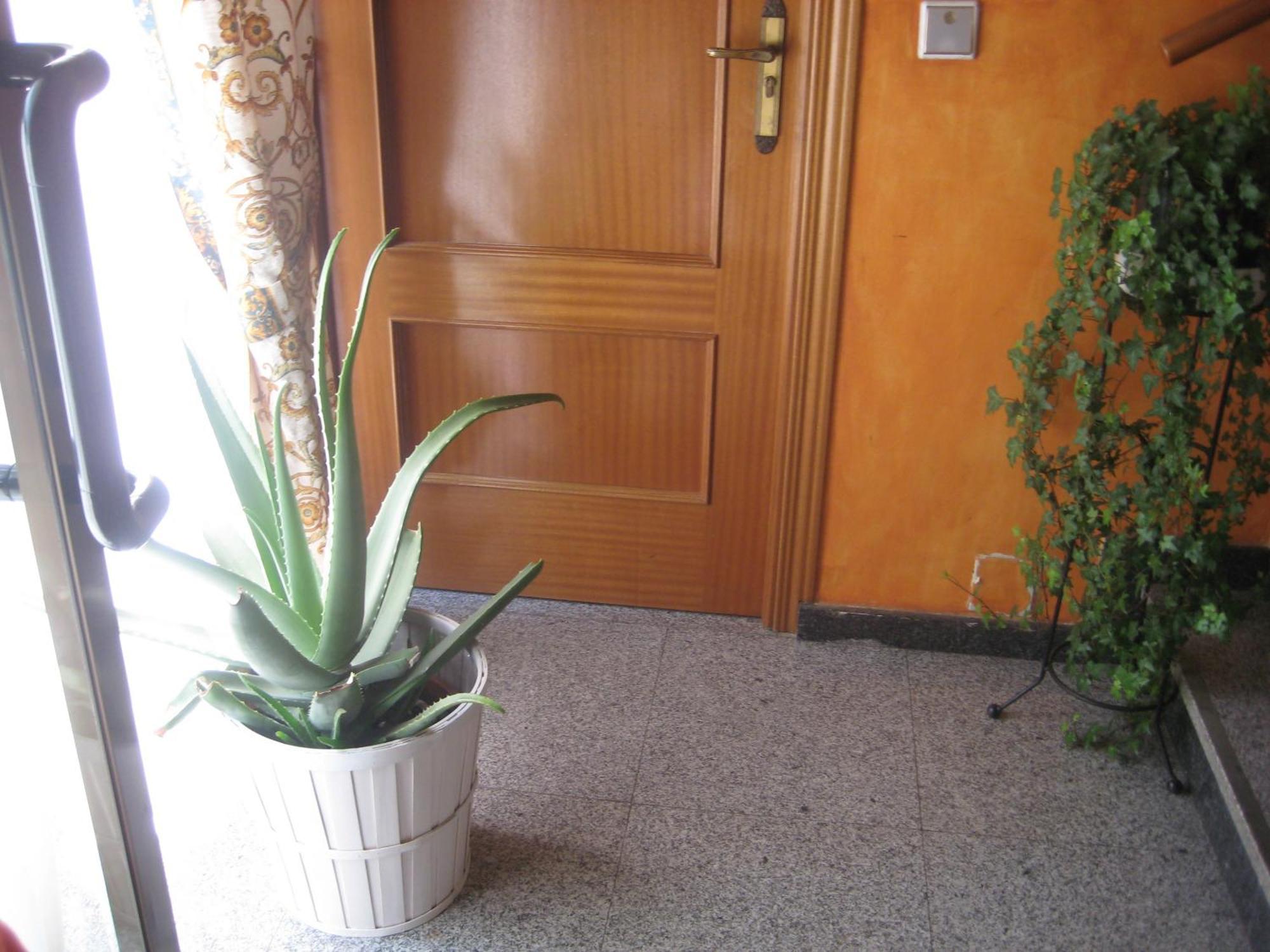 Ávila Hostal El Pinar מראה חיצוני תמונה